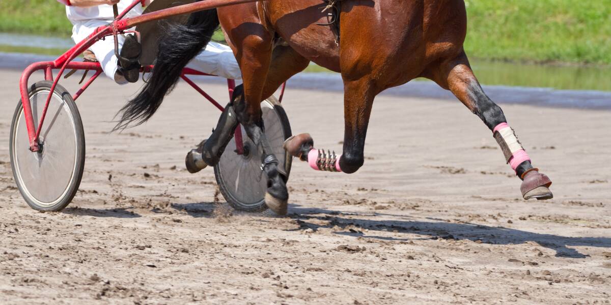Collie-trained or driven horses won three races at Wagin last Sunday. Photo: Shutterstock.