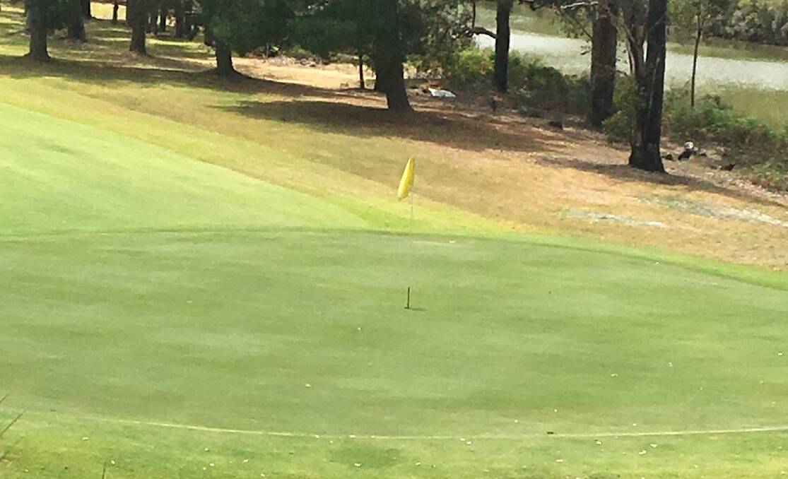Golfing news: Collie Golf Club results for June 29 to July 4. Photo: Supplied.