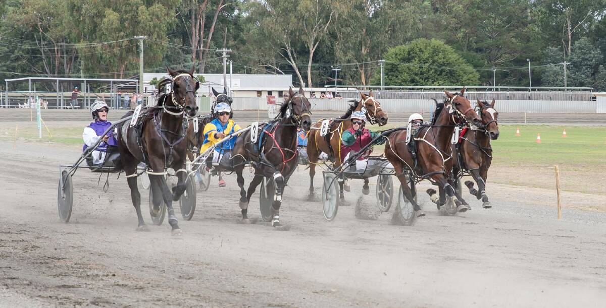 Ready for new season: Pacing at the Collie Harness Racing Club in 2019. Photo: Jessica Ashcroft.