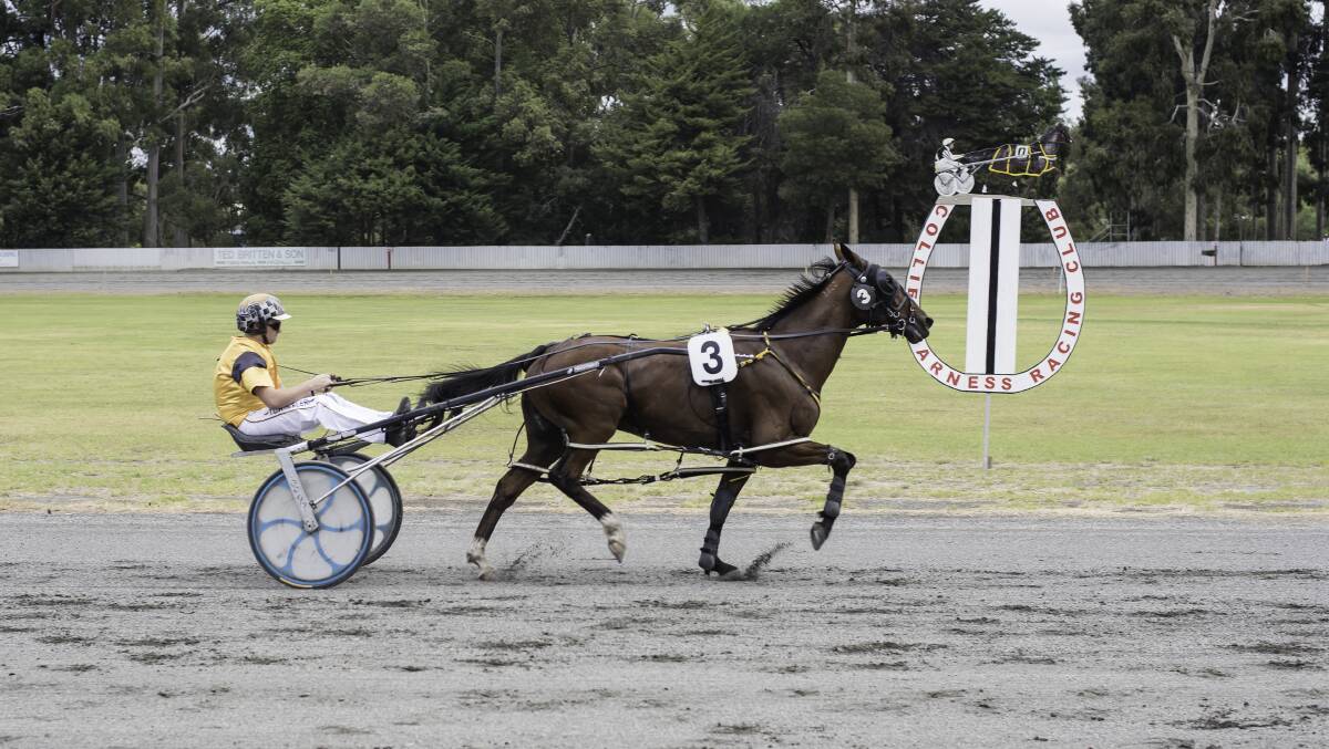 Empty The Till winning the Davies Two Step Pace for club president Brian Wheeler at the last Collie meet. Photo is supplied.