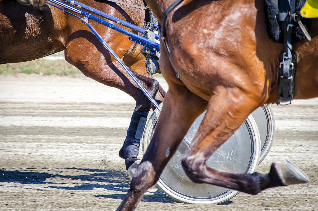 Fun day: March 10 sees Collie Harness Racing host its annual Family Day at the Wallsend Paceway. Photo: Shutterstock.