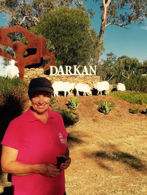 Darkan Sheepfest committee member Pam Stockley said the community would be proud to support Dolly’s Dream at this year’s event. Photo: supplied